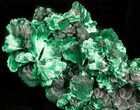 Silky Fibrous Malachite Crystal Cluster - Congo #45327-2